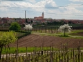 VM66.jpg