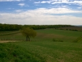 WP_20150426_12_19_55_Pro.jpg